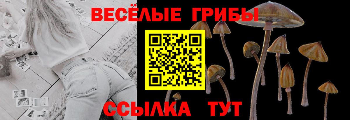 Псилоцибиновые грибы прущие грибы  Псилоцибиновые грибы мухоморы  Вход с VPN  Пенза 